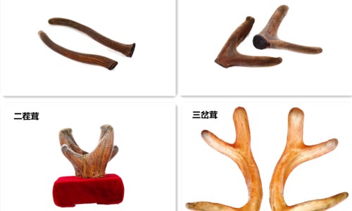 背影1-背影的功效网背影啥意思知识网站,分享背影百科大全