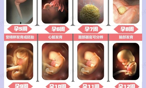 背影1-背影的功效网背影啥意思知识网站,分享背影百科大全